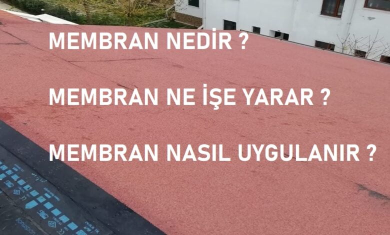 membran nedir