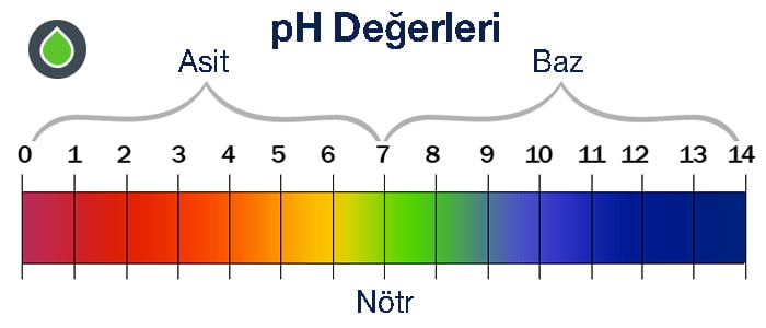 phnedirnedemek